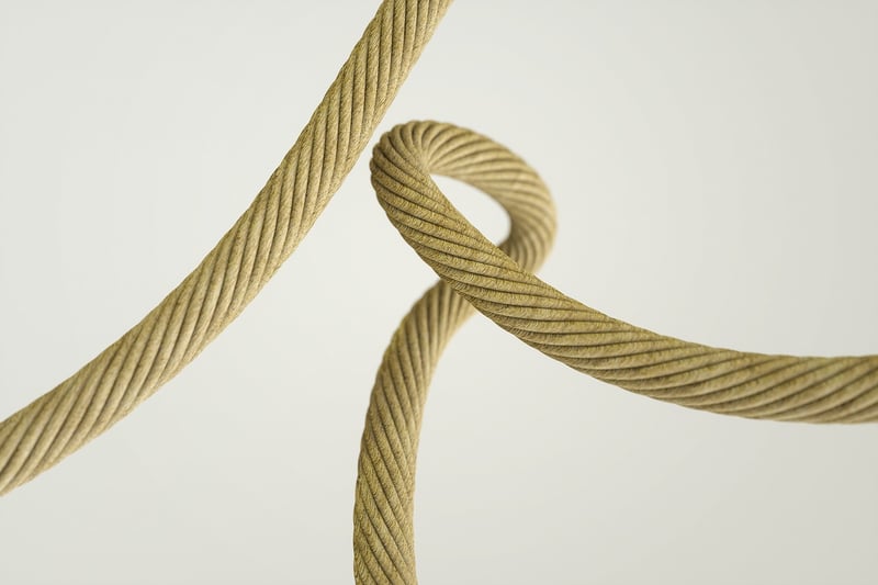 Causality Loops
